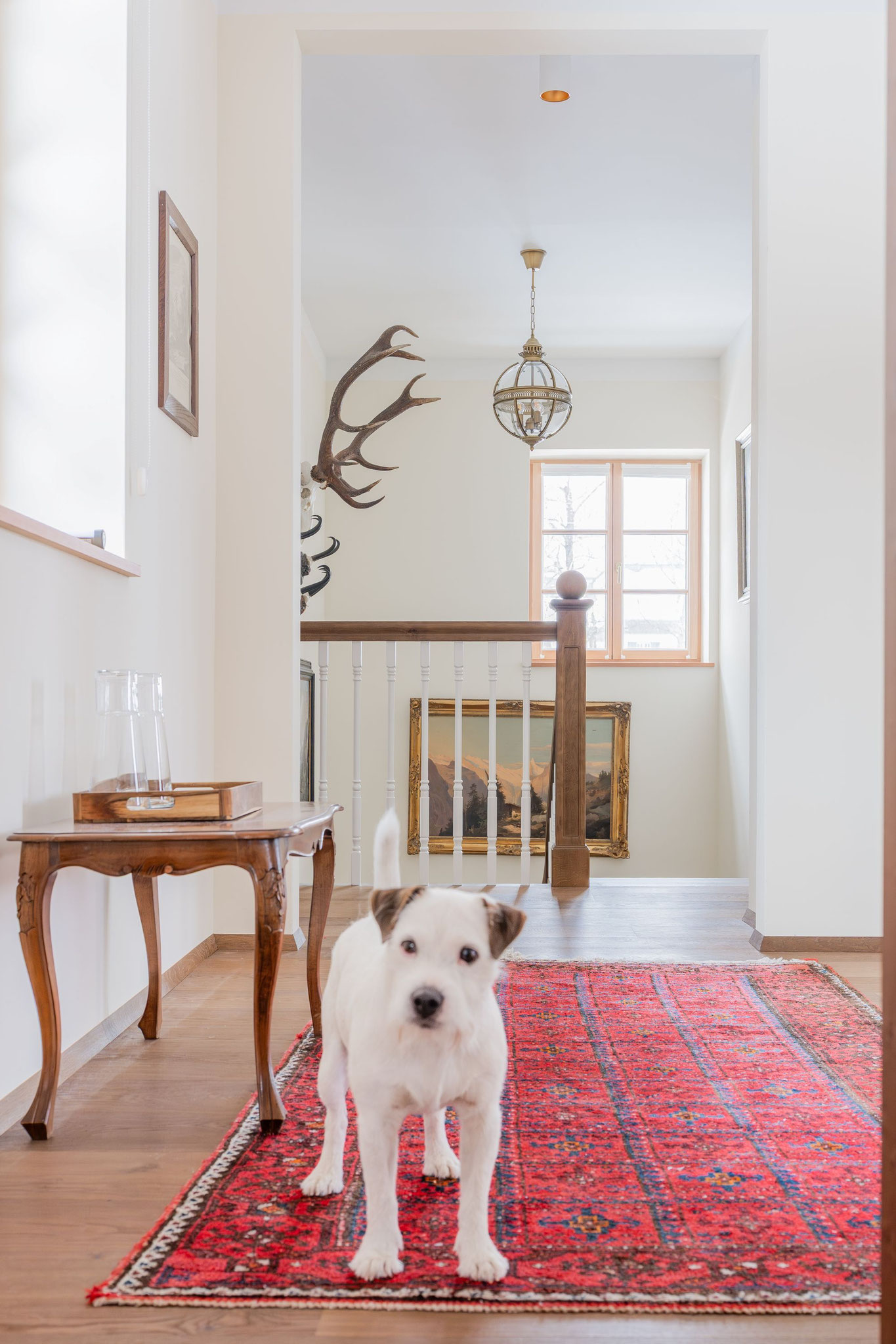 Helle Diele mit Orientteppich, Geweih an der Wand und einem Jack Russell auf dem Teppich