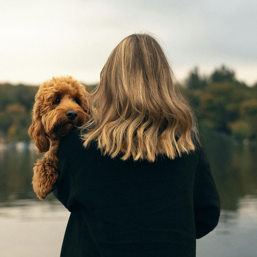 Alpenglühen am Berg in der Abenddämmerung