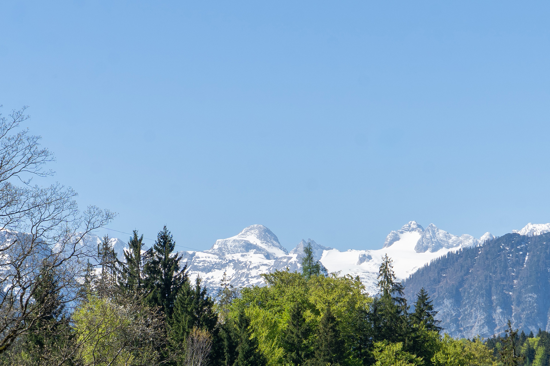 Schneebedeckter Dachstein über den Wäldern bei Altaussee