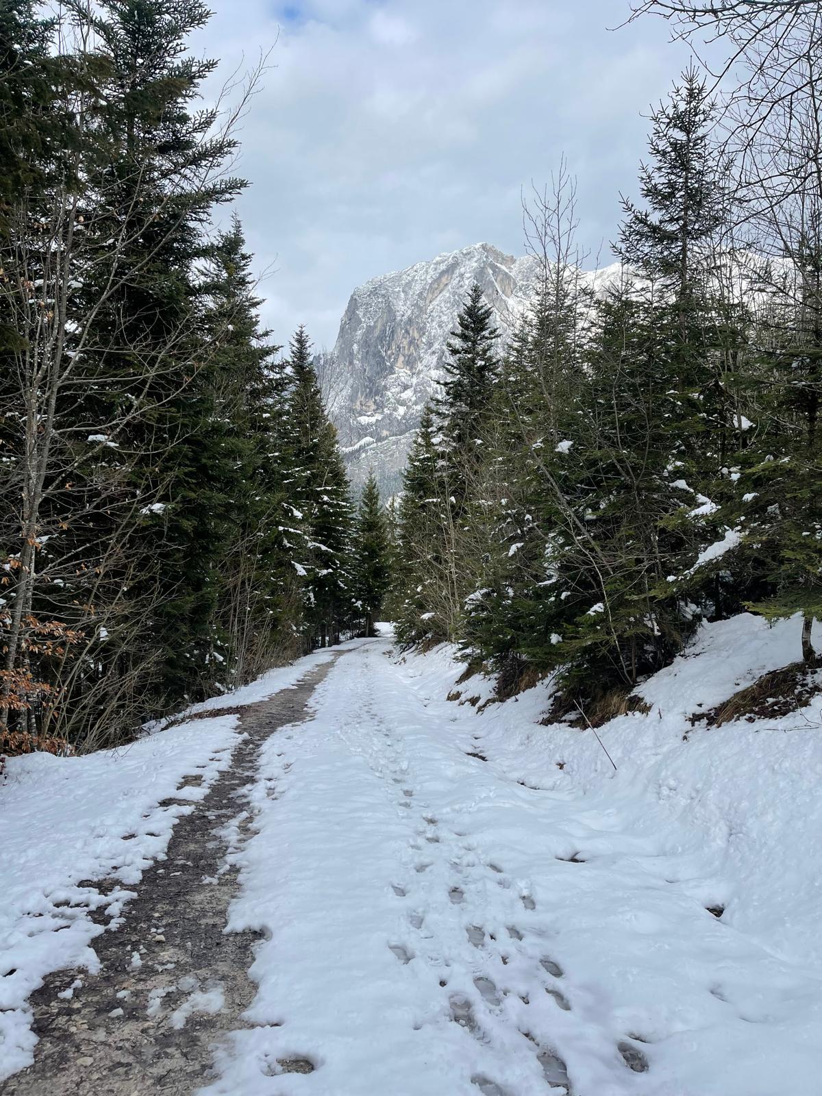 Verschneiter Waldweg bei Altaussee mit Blick auf die winterliche Trisselwand